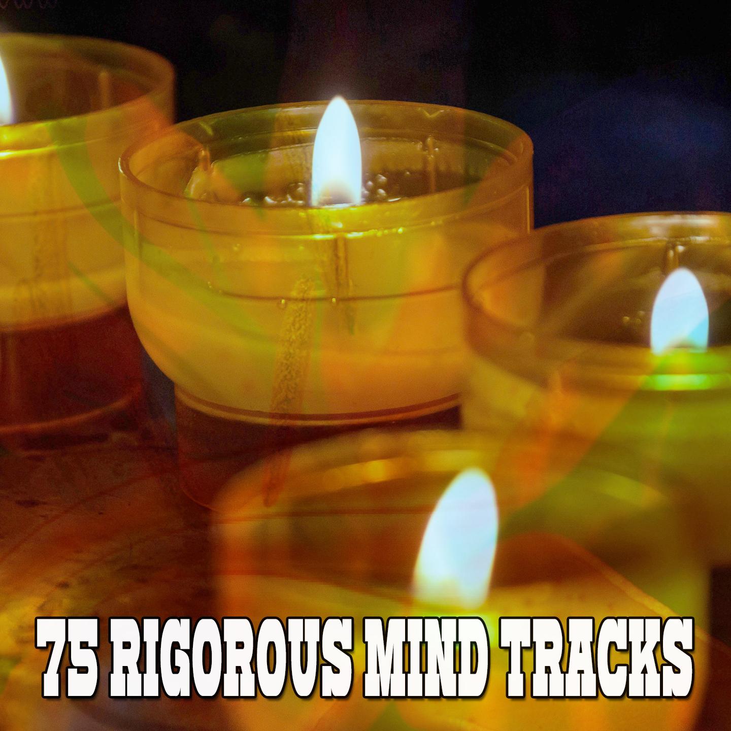 75 Rigorous Mind Tracks专辑