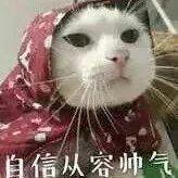 许嵩