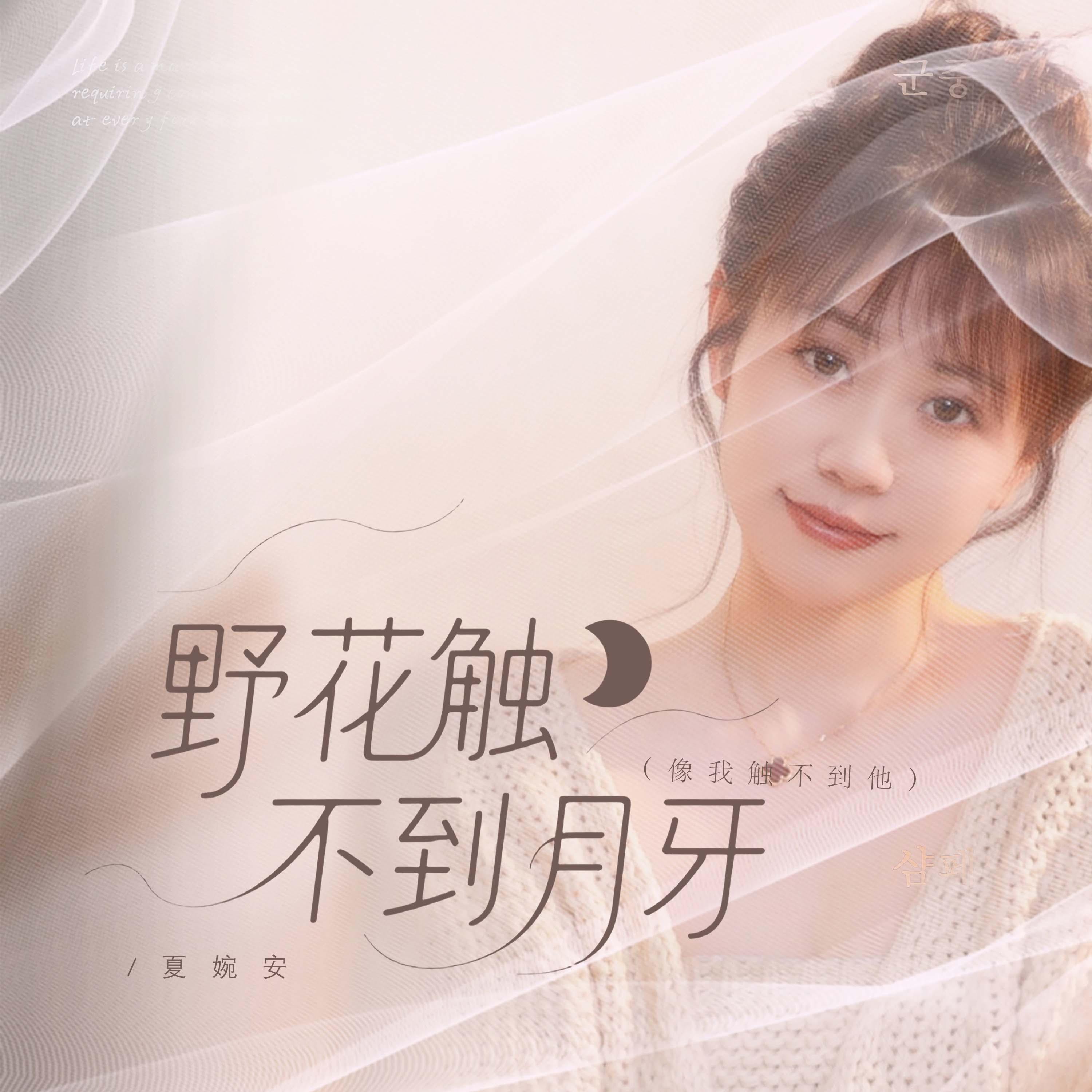 野花触不到月牙 (像我触不到他)