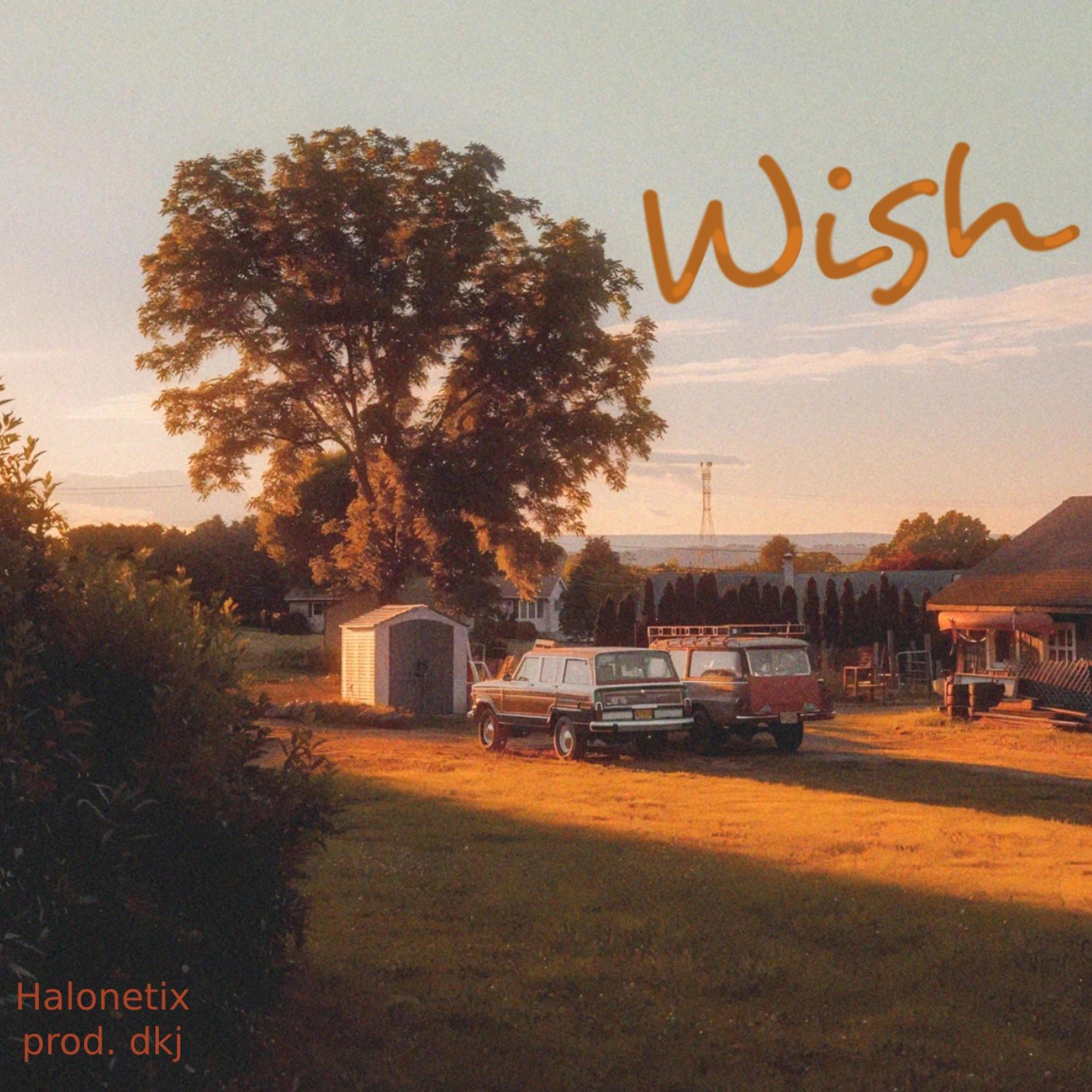 Wish (feat. dkj)