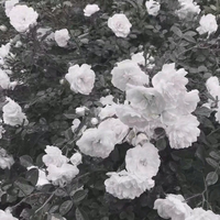 [DJ节目]藤竹京的DJ节目 第94期