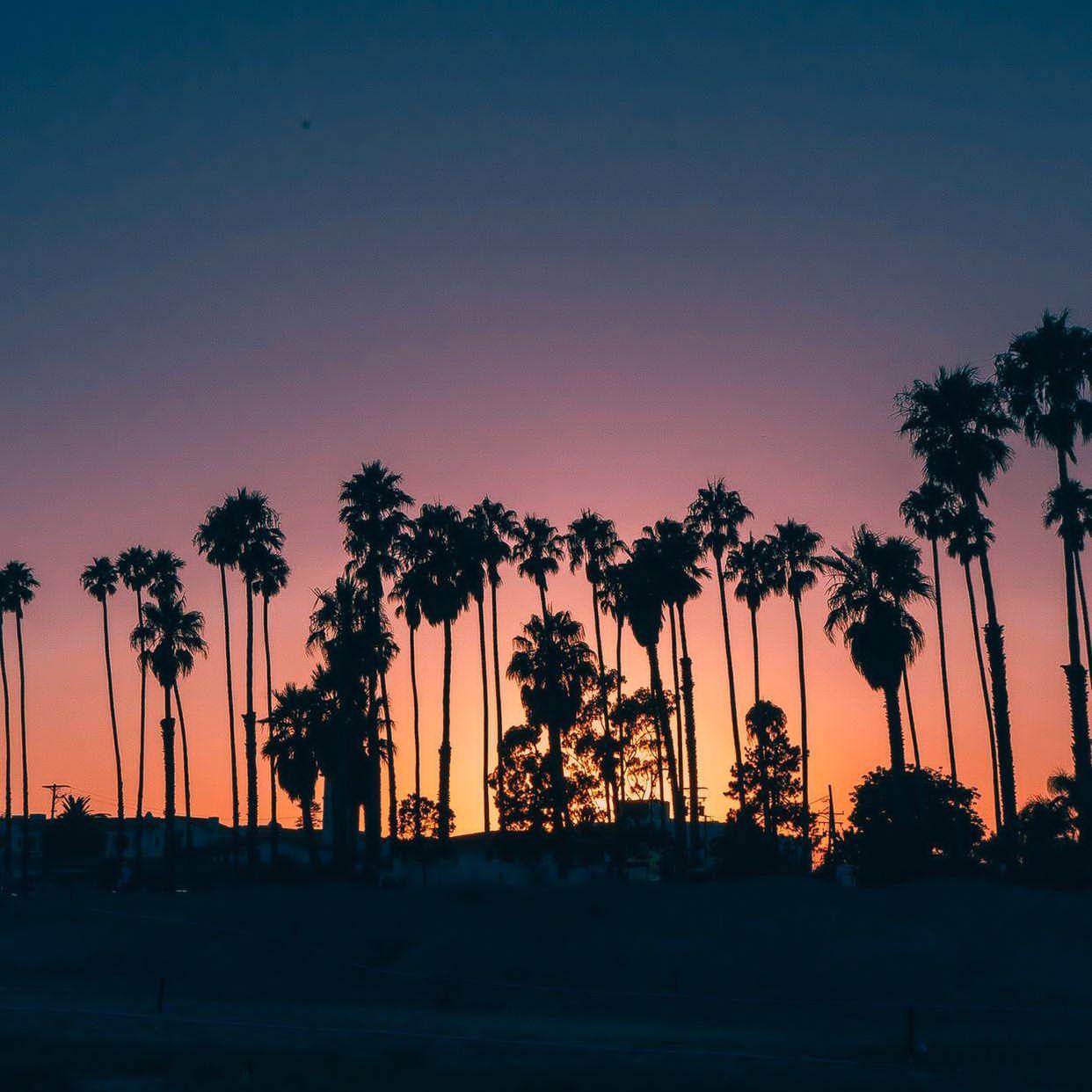 melody remix(温柔版)(翻自 群可)