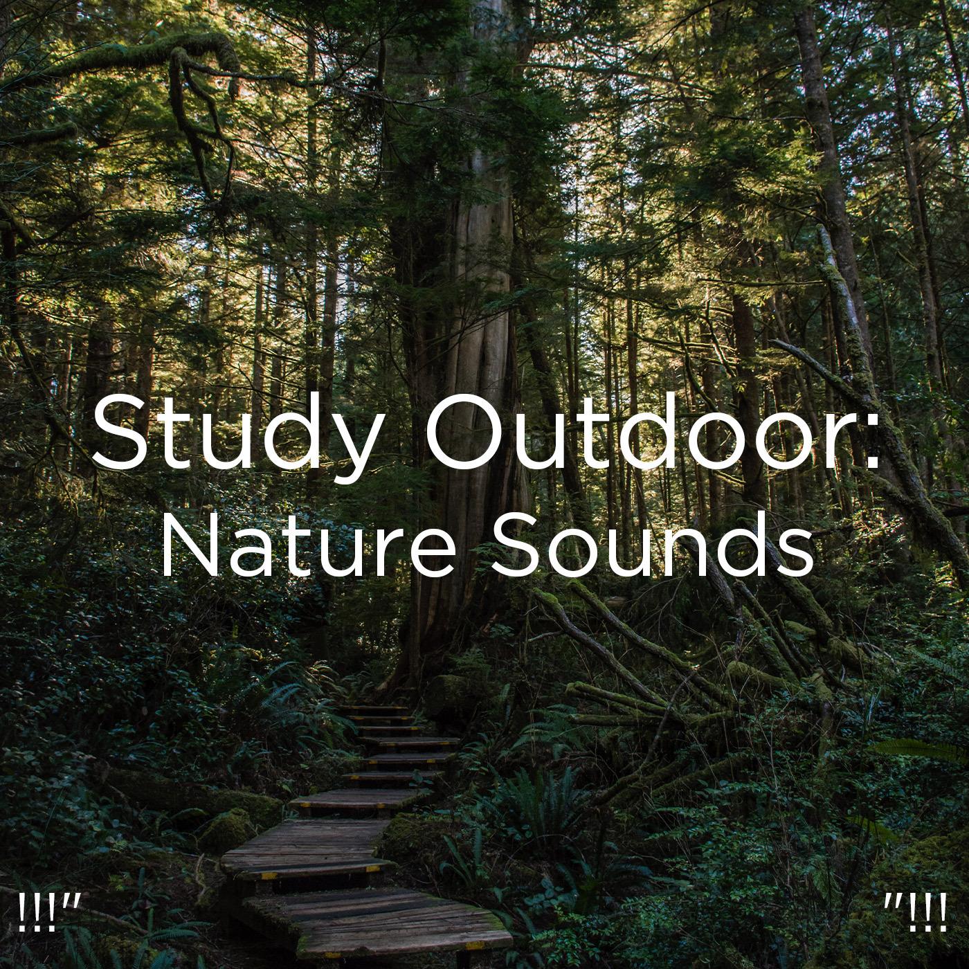 !!!" Study Outdoor: Nature SoundsE "!!!
