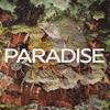 Mauv - Paradise