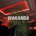 Wakanda（Original Mix）