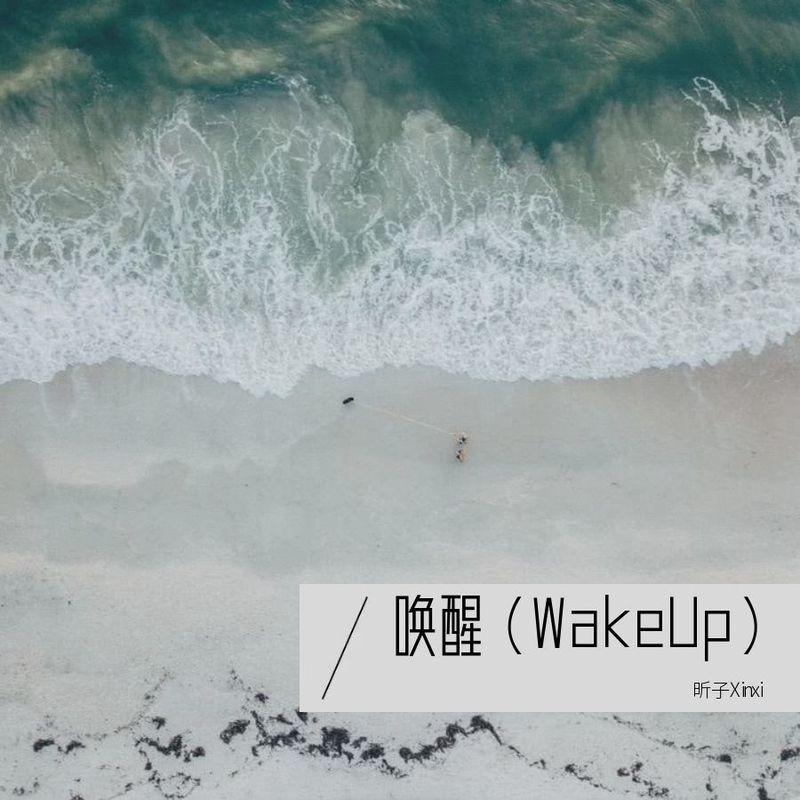 唤醒（Wake Up）