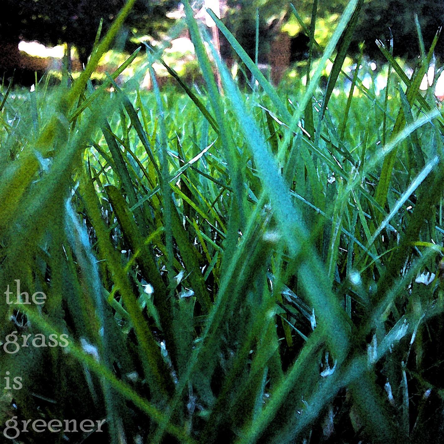 The Grass is Greener