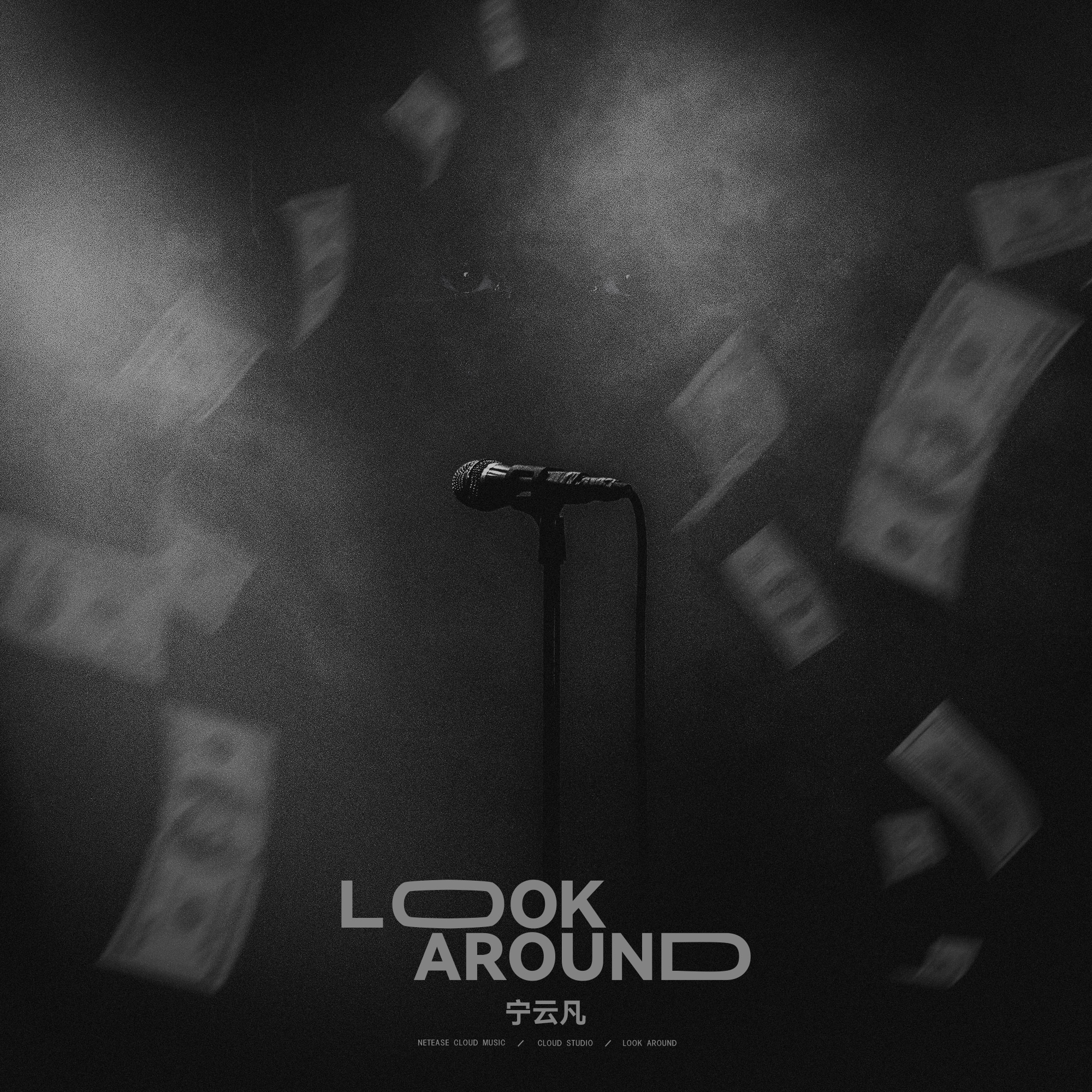 look around专辑