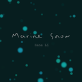 Marine Snow