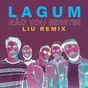 Não Vou Mentir (Liu Remix)专辑