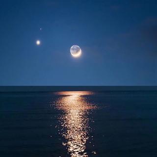 欧美｜月夜千里，思念是星辰大海