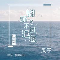 陈振云 - 蝴蝶飞不过沧海(原版立体声伴奏)版本2