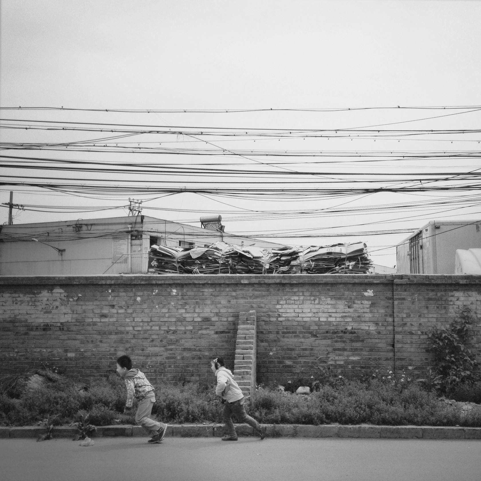 万青COVER