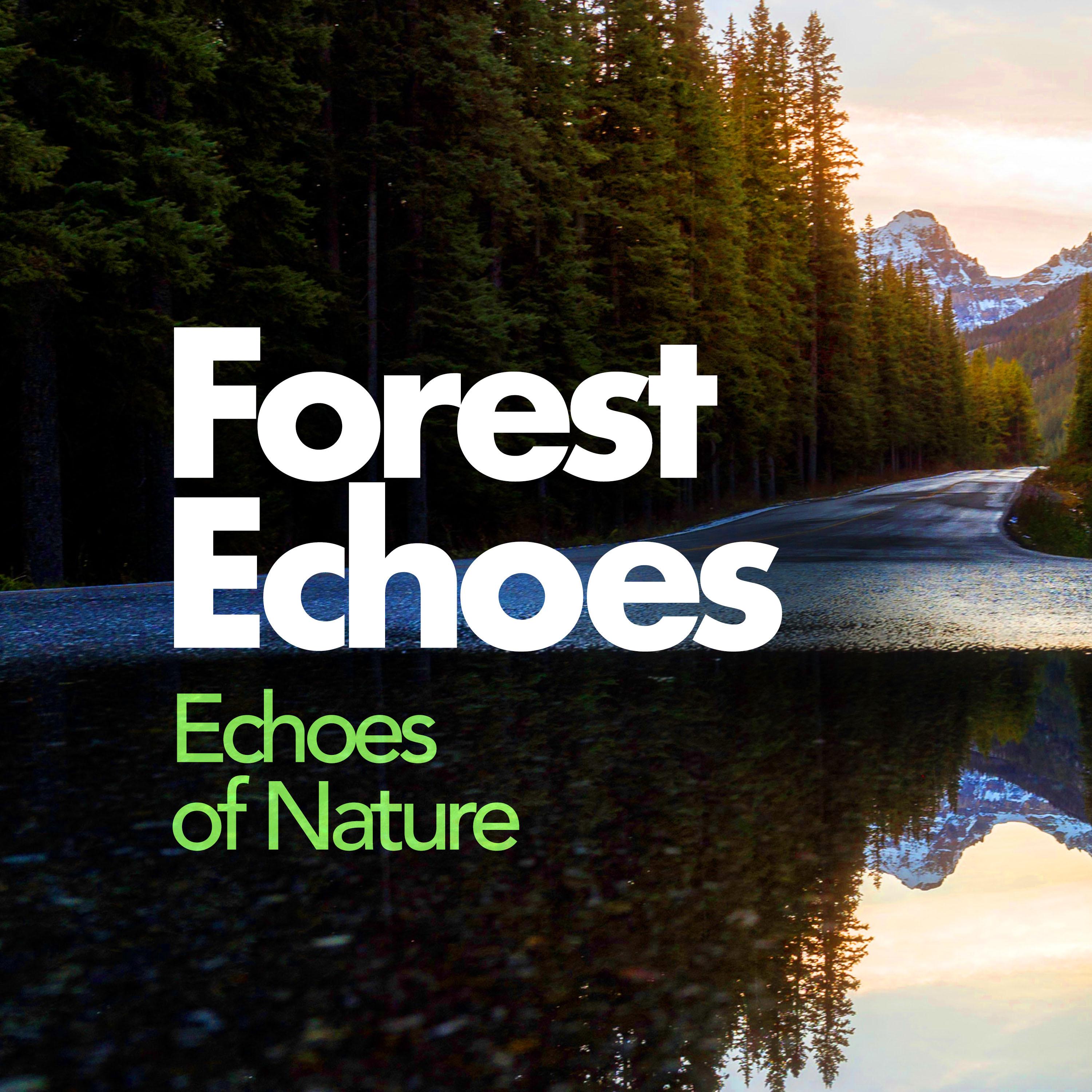 Forest Echoes