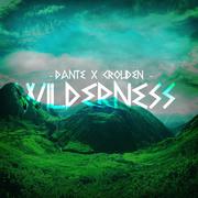 Wilderness (Original Mix)