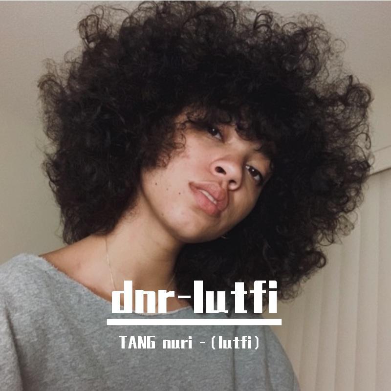 dnr-lutfi （车载）
