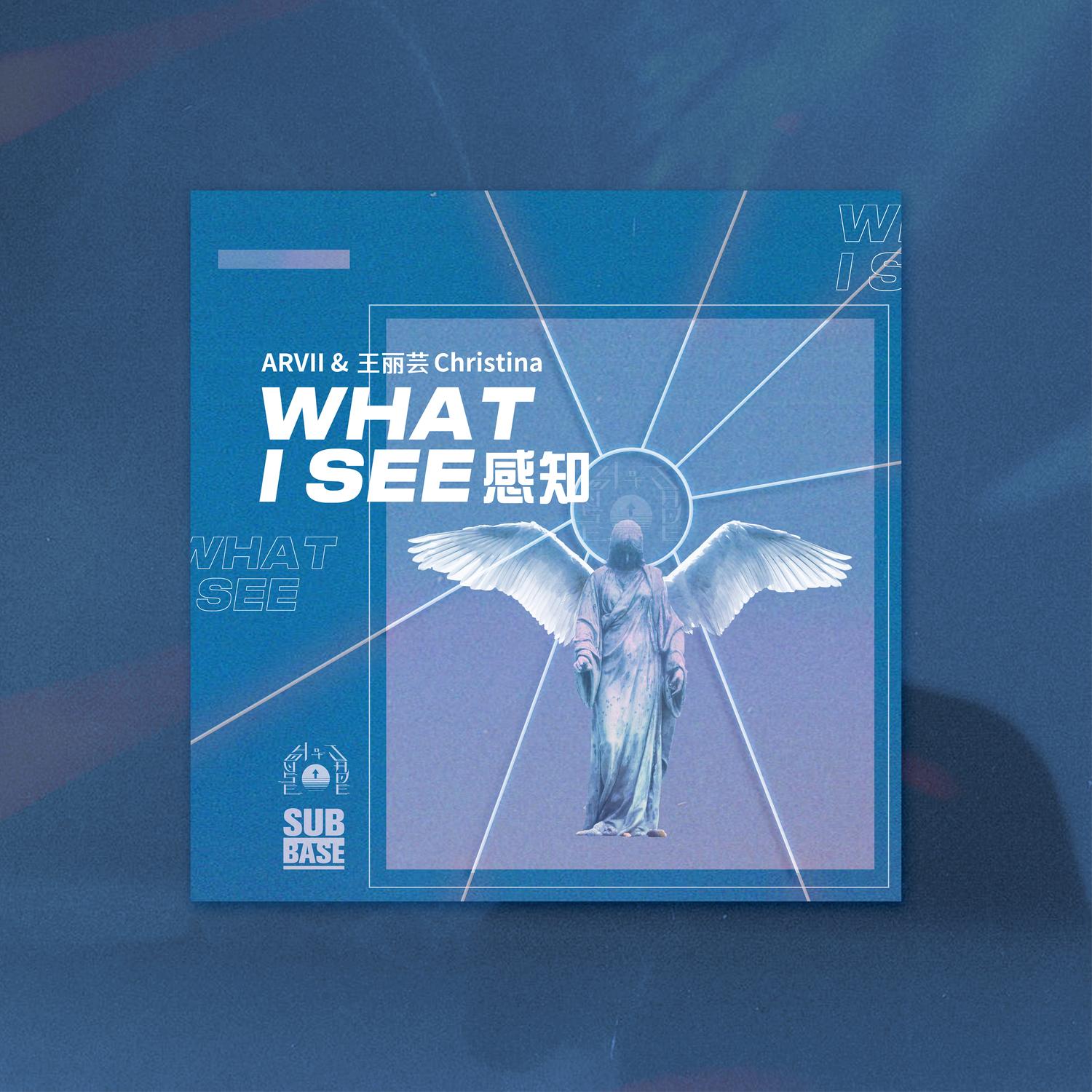 感知 What I See