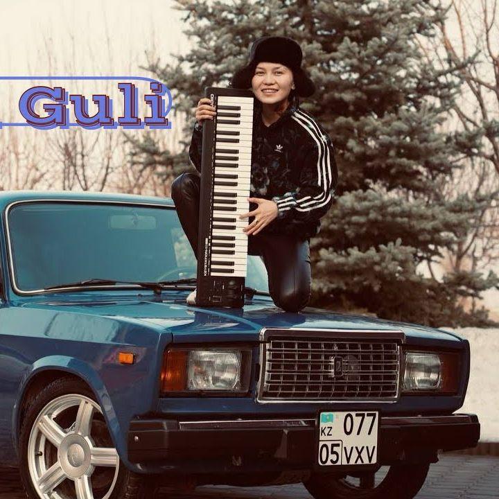 Anshi Guli