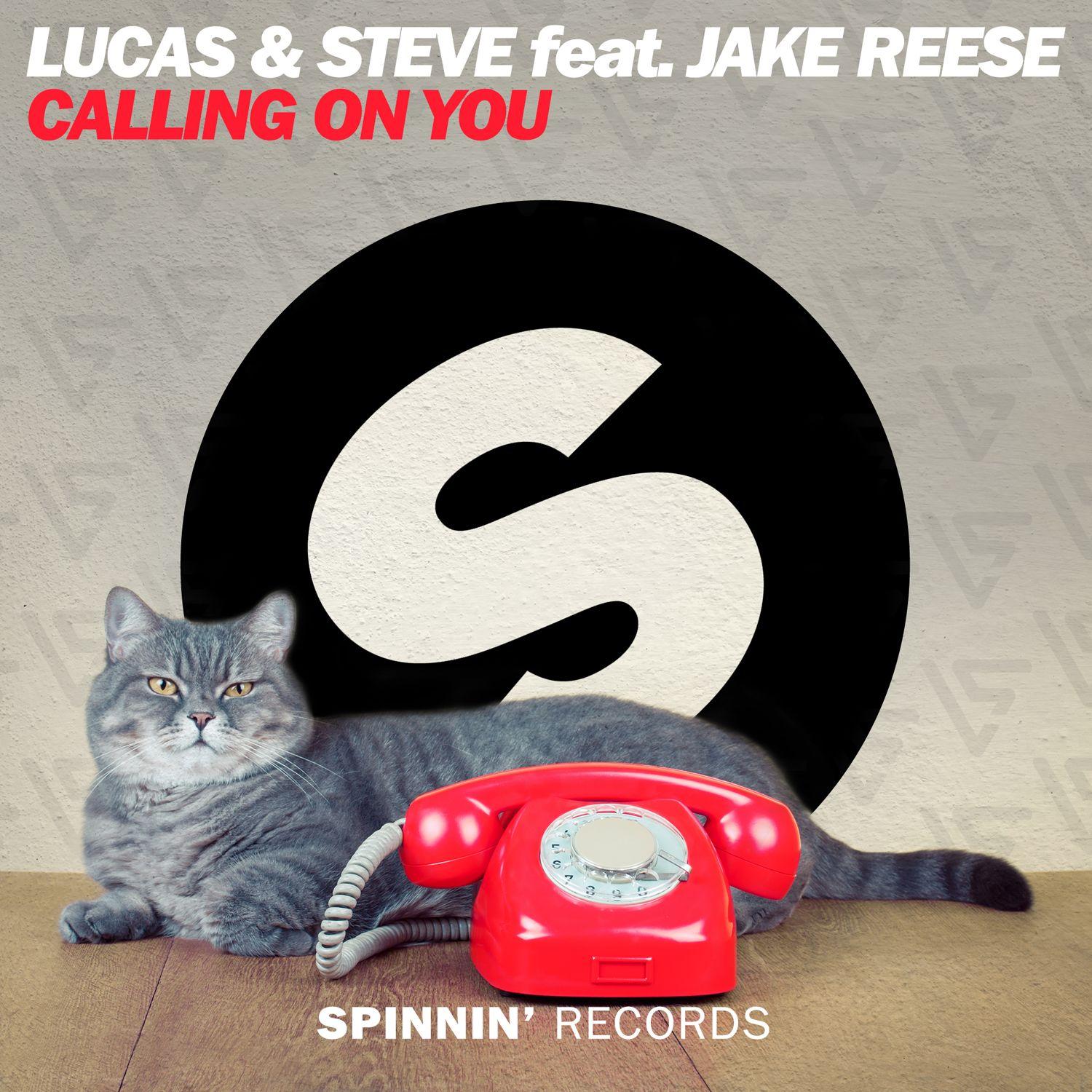 Calling On You (feat. Jake Reese) [Club Mix]