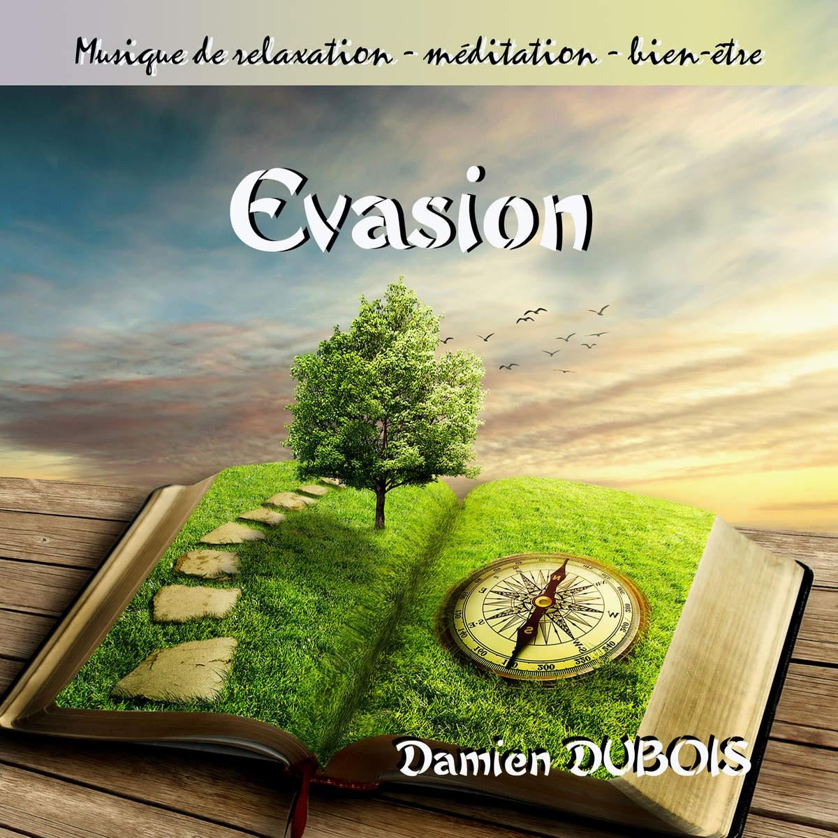 Evasion Evasion