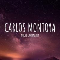 Carlos Montoya - Noche Granadina
