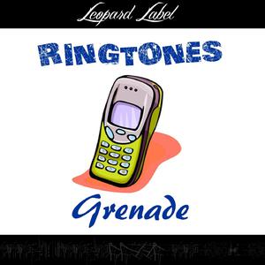 Grenade - Bruno Mars (Z karaoke) 带和声伴奏 （升1半音）
