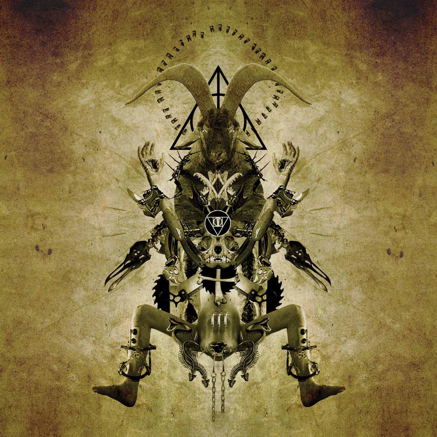 Calm Morbidity
