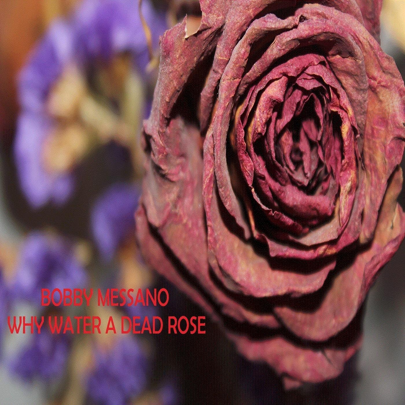 Why Water a Dead Rose