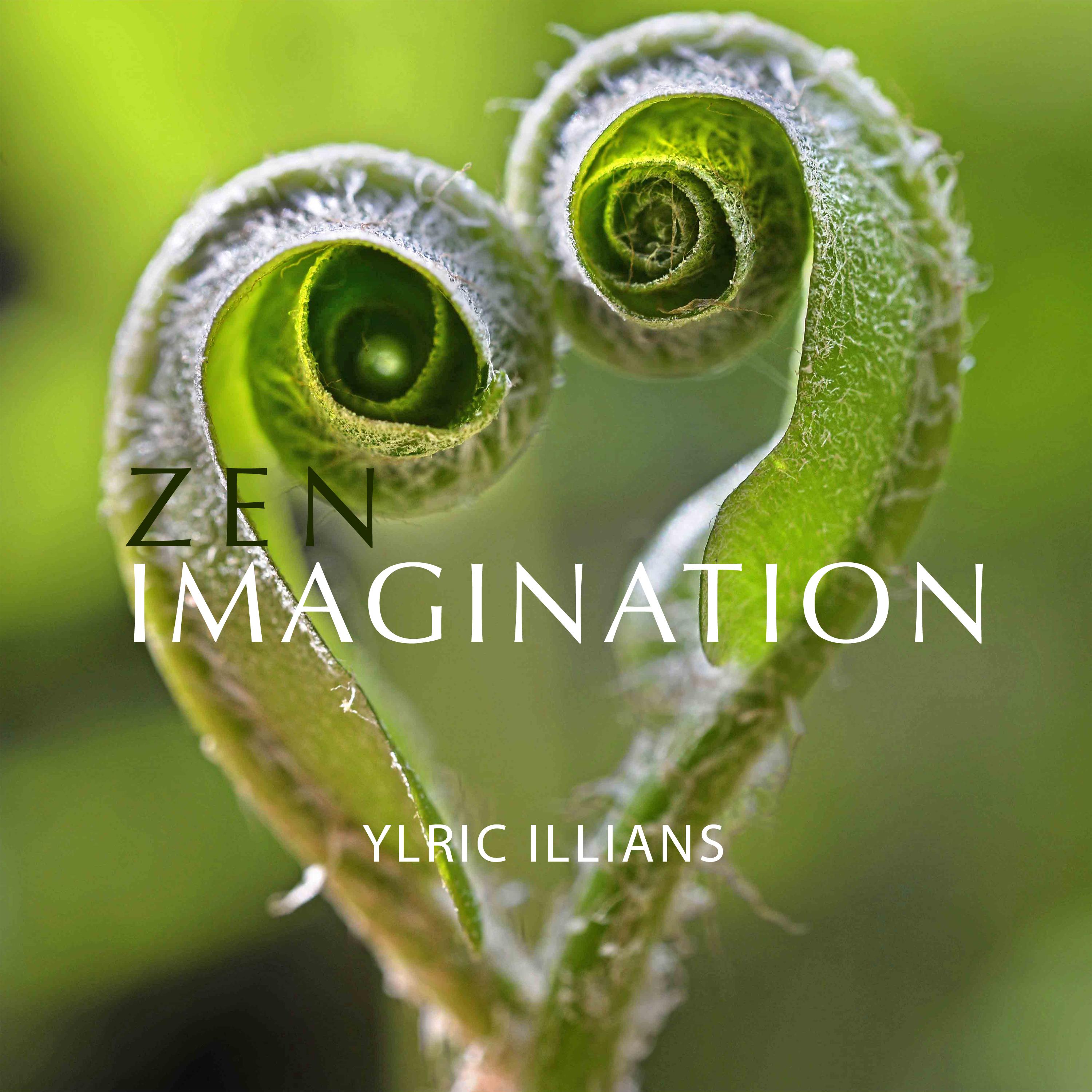 Zen imagination