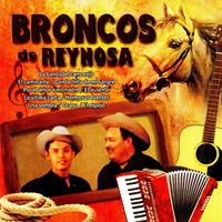 Broncos De Reynosa - Flor Del Rio (karaoke)