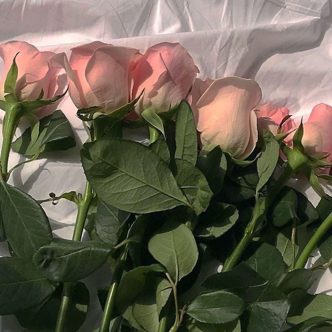 晓