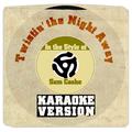 Twistin' the Night Away (In the Style of Sam Cooke) [Karaoke Version] - Single