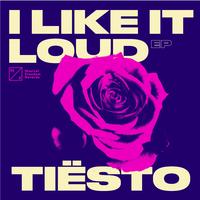 Break The House Down - Tiesto - Muzik Junkies - House Quickhitter Bootleg