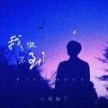 我做不到