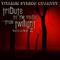 The Vitamin String Quartet Tribute to the Music from Twilight Volume 2专辑