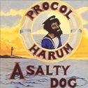 A   Salty Dog