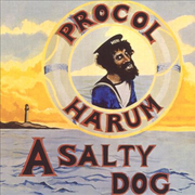 A   Salty Dog