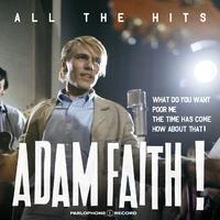 We Are In Love - Adam Faith (karaoke)