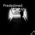 Predestined