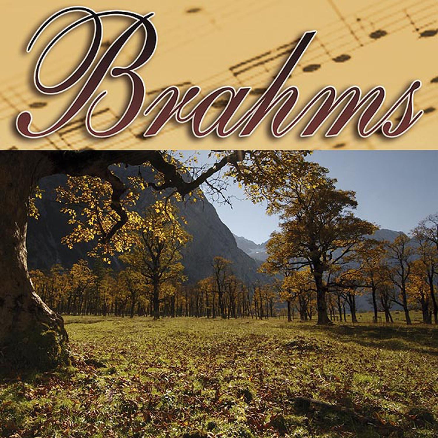 Musica Clasica - Johannes Brahms专辑