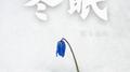 冬眠（架子鼓版）专辑