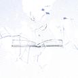 白絵にもならない