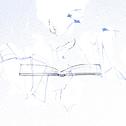 白絵にもならない