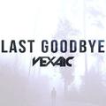 Last Goodbye