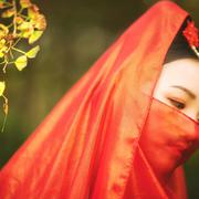 古筝 惊鸿一面 仿佛映当年翩若惊鸿雨