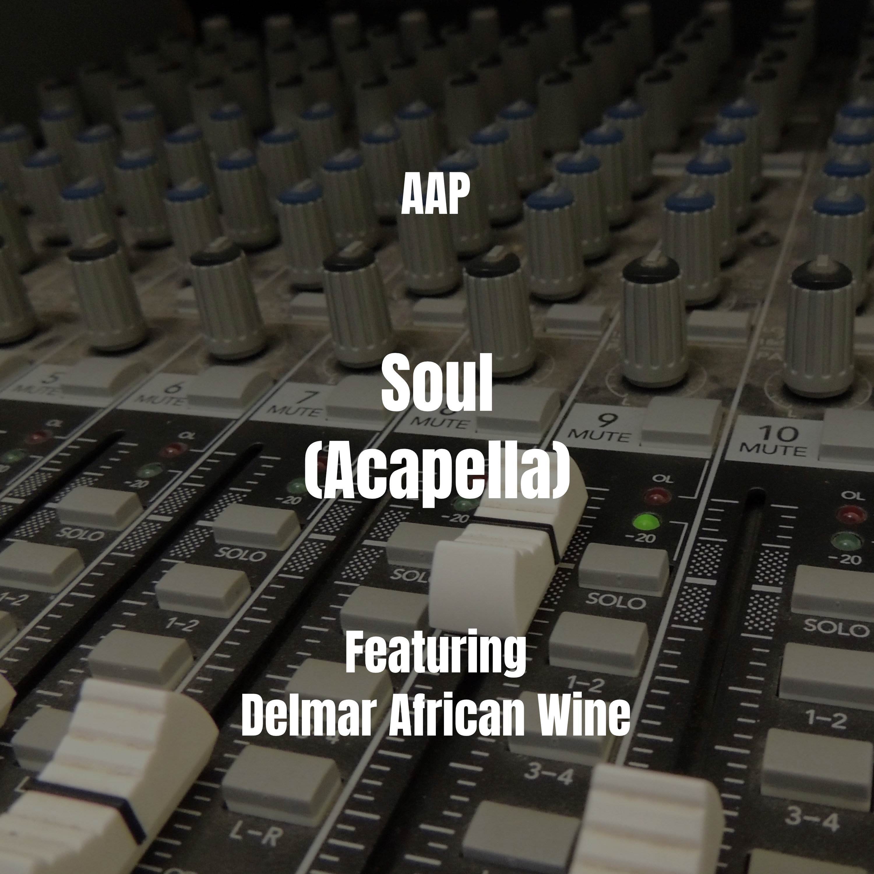 AAP - Soul (Acapella)