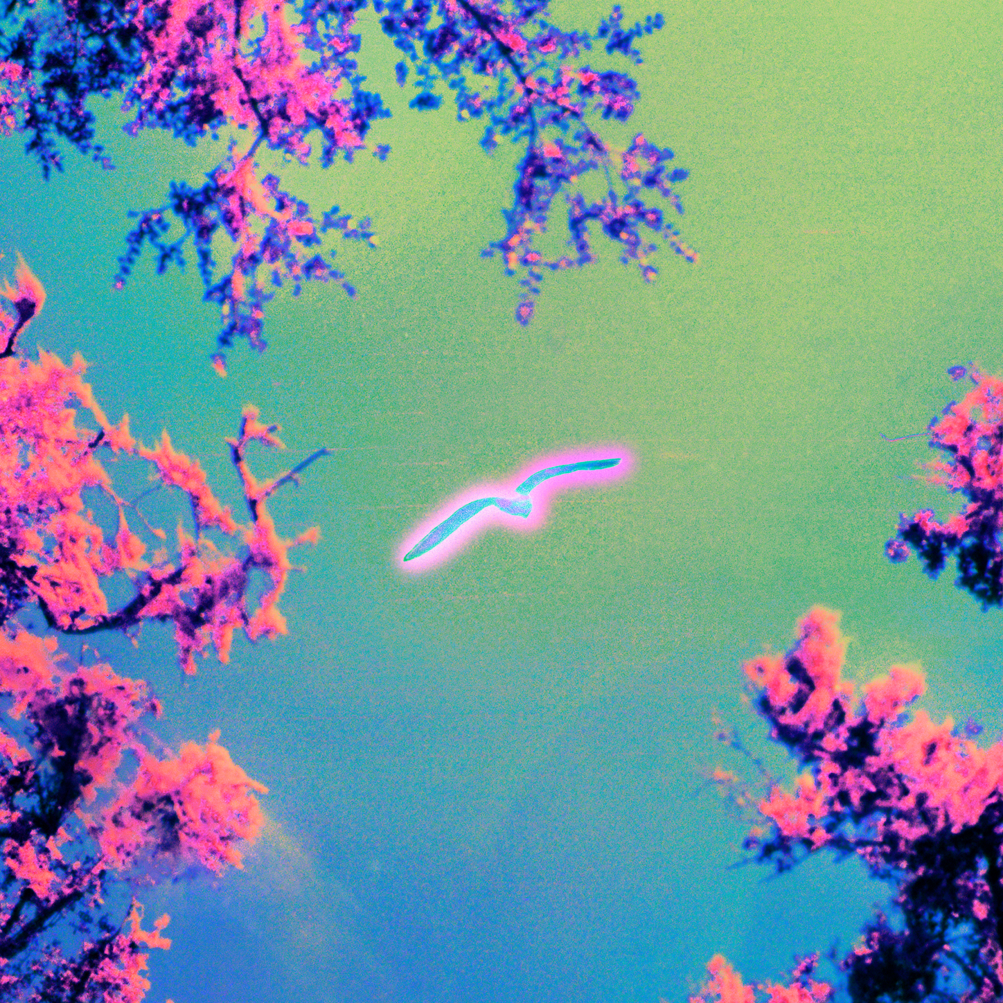 Canto Dormido (Ian Lampel Remix)