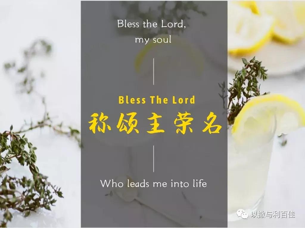 泰泽音乐：称颂主荣名（Bless the God）专辑