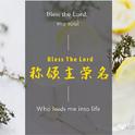 泰泽音乐：称颂主荣名（Bless the God）专辑