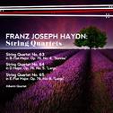 Franz Joseph Haydn: String Quartets